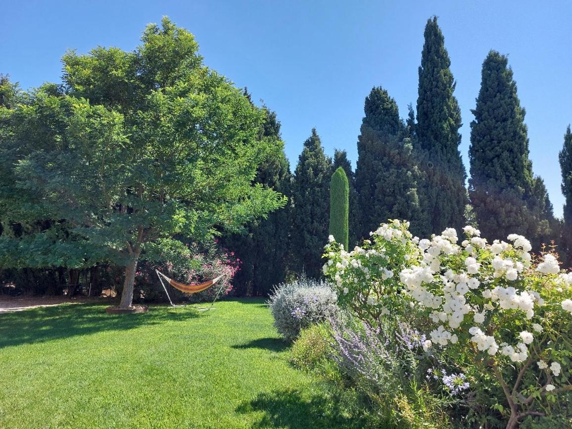 En Provence, Chez Stephanie Et Marcel Сен-Ремі-де-Прованс Екстер'єр фото